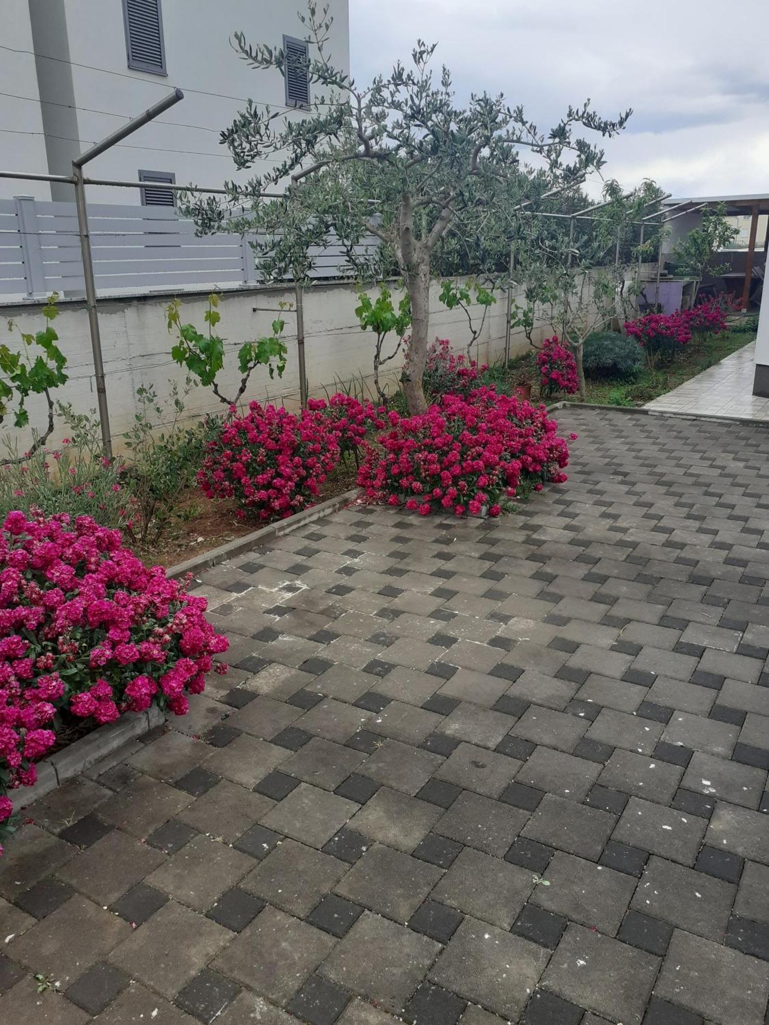 Barbara Apartment Zaton  Exterior photo